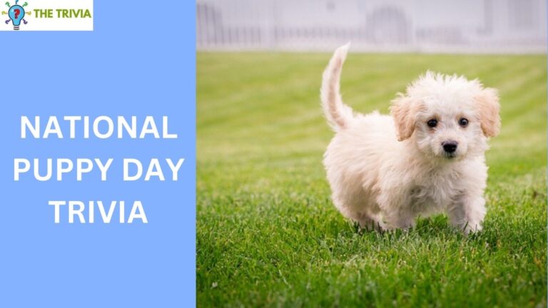 National Puppy Day Trivia