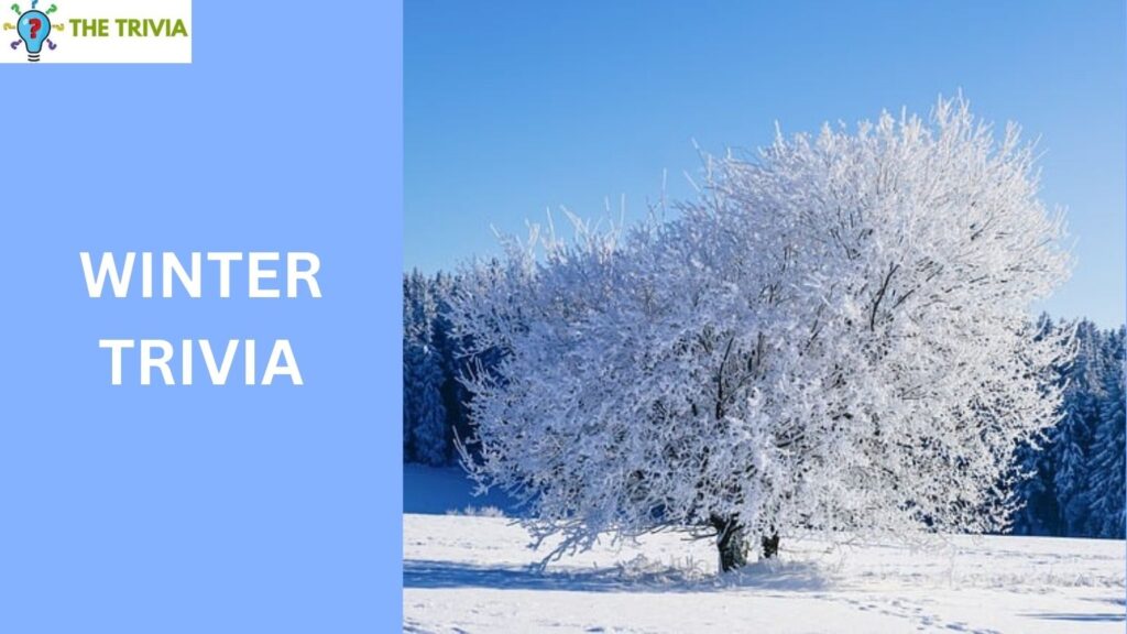 Winter Trivia